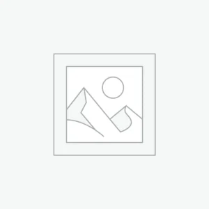 Pro Stage Microphone